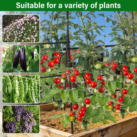 Heavy Duty Garden Arch Trellis For Climbing Plants With Adjustable Width Sturdy Metal Plant Support shown with tomatoes