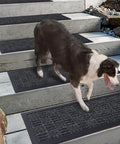 Non Slip Stair Treads 6 Pack 8.5 By 30 Inch For Wooden Steps with dog on outdoor stairs