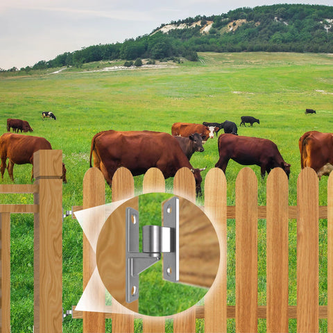 Installed gate hinge on wooden fence; stainless steel, 5/8-inch pin, heavy-duty wall-mounted farm gate hinge.