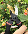 8 Inch Titanium Coated Bypass Pruning Shears For Heavy Duty Garden Pruning Premium SK5 Steel Blade Rust Resistant And Ultra Sharp Ergonomic Non Slip Aluminum Handles For Smooth Cutting in use cutting a flower stem