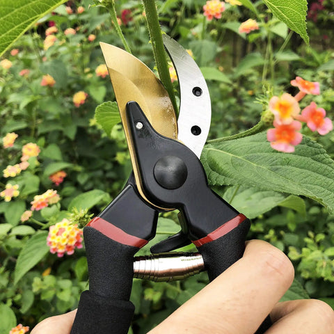 8 Inch Titanium Coated Bypass Pruning Shears For Heavy Duty Garden Pruning Premium SK5 Steel Blade Rust Resistant And Ultra Sharp Ergonomic Non Slip Aluminum Handles For Smooth Cutting in use cutting a flower stem