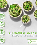 Eco friendly pasta bowls on 100 Percent Compostable 9 Inch Paper Plates For Parties, 150 Disposable Eco Friendly Tree Free Dinnerware