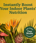 Straight Fire Liquid Plant Food For Indoor Houseplants And Potted Greens With Fast Absorbing Nutrients To Give Your Greenery A Dope Boost And Build Rock Solid Roots For Zero Sweat Care 8 Fl Oz Two Pack with vibrant indoor plants.