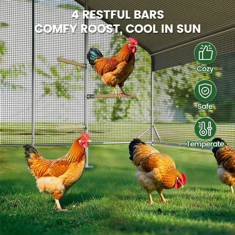Chickens inside Large Walk In Chicken Coop With Solar Light And Outdoor Metal Poultry Cage With Run And Hardware Cloth Built Tough Waterproof And UV Resistant Hen House For Farm And Backyard, showing cozy roost bars.