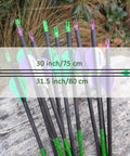 30 Inch Pure Carbon Arrows For Target Practice And Hunting With Removable Tips 100 Grain Points Fits Compound Recurve And Long Bow Green