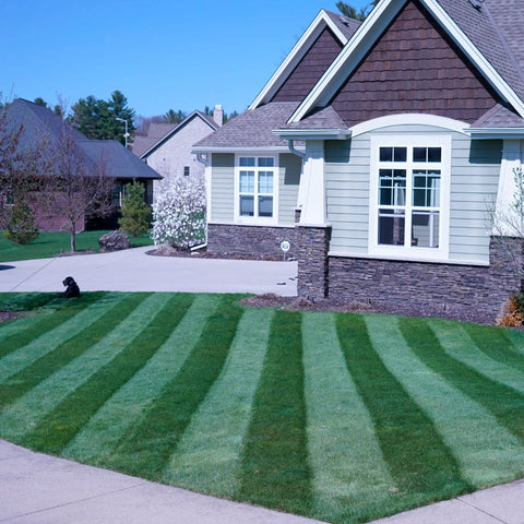 Lawn with ballpark-like stripes created by Generation 3 Lawn Striping System for 21 Inch Walk Behind Mowers in front of a house.