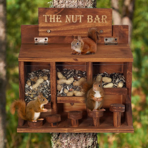 Wooden Squirrel Picnic Table Feeder With Multi Compart ment Seed Storage And Five Level Bar Stools Durable Outdoor Squirrel Feeder For Corn Cobs And Mixed Seeds Stable Table Style Wildlife Feeder 12.2 X 6.6 X 12.2 Inches on tree with squirrels