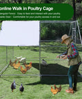 Walk In Metal Chicken Coop With Cover And Perch For Outdoor Backyard Use, Large Enclosure, person feeding chickens inside