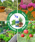 Collage showing uses for 2 Pack 16 Oz Bee And Wasp Spray With Natural Peppermint Oil: patio, garden, vegetable plot, orchard.
