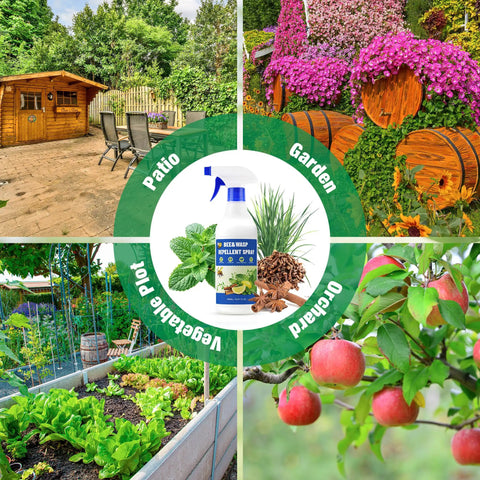 Collage showing uses for 2 Pack 16 Oz Bee And Wasp Spray With Natural Peppermint Oil: patio, garden, vegetable plot, orchard.