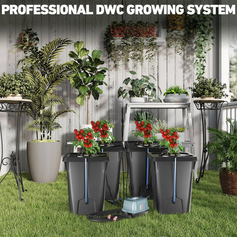 Four Buckets DWC Hydroponics Growing System With Top Drip Kit Seven Gallon Deep Water Culture Buckets Air Pump Air Stone And Air Hose for Recirculating Drip Garden Growth in a home garden setup with various plants around