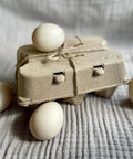 Six Jumbo Duck Egg Cartons Pack With Blank Top For Custom Labels Each Carton Holds Six Large Eggs Ideal For Farm Fresh Or Backyard Eggs Eco Friendly Paper Pulp 100 Pack