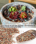 3 Lb Lava Rock Mix For Indoor Plants Red And Black Pebbles For Bonsai Succulents Cacti Great Drainage For Potting Soil Vase Fillers Fairy Garden Top Dressing in pot with succulents and scoop of pebbles