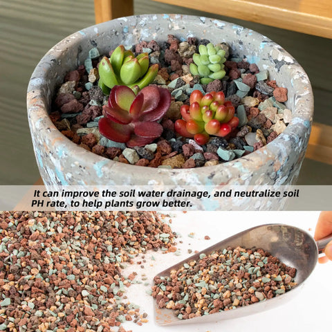 3 Lb Lava Rock Mix For Indoor Plants Red And Black Pebbles For Bonsai Succulents Cacti Great Drainage For Potting Soil Vase Fillers Fairy Garden Top Dressing in pot with succulents and scoop of pebbles