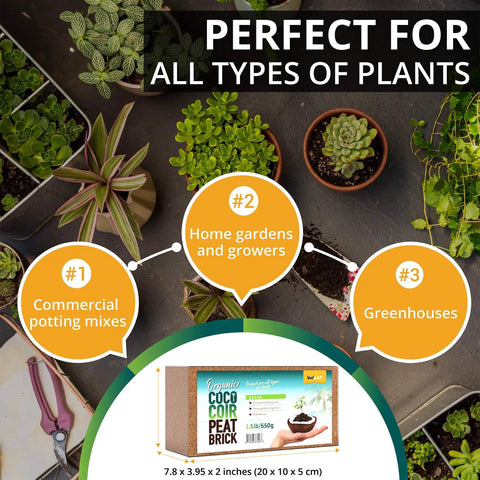 High Expansion Coco Coir Bricks 5 Pack 650g Each Peat Free Coconut Coir Low EC And pH Balanced Washed And Buffered package with plants.