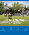 Power Cap Battery 2 Pack For Dog Fence Collars Long Lasting 90 Day Battery Replacements Up To Six Months Of Coverage Keep One On Hand So Your Collar Never Goes Dead. Dog playtime image with 3-month battery life text