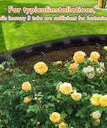 Flexible No Dig Landscape Edging Kit With 100 Ft Border And 100 Upgrade Stakes One Point Five Inch Tall Plastic Garden Border in flower bed.