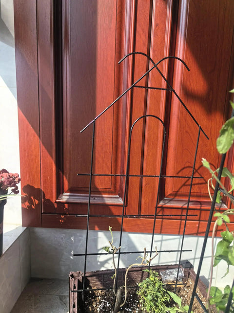 4 Pack 24 Inch Metal Garden Trellises For Climbing Plants Indoor Outdoor Black Trellis For Vines Flowers And Potted Houseplants Each 10 Inches Wide