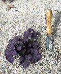 Ergonomic Do-It-All Hand Weeder Trowel 5-In-1 Stainless Steel Garden Tool beside purple plant in gravel bed