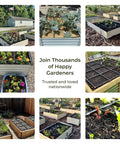 Effortless Garden Irrigation Grid System For Beds That Water Every Plant In Minutes, shown in various 44x88 inch garden setups