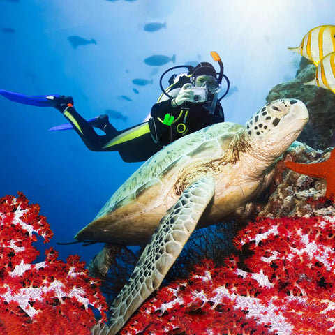 Diver with Must Have Regulator Mouthpiece Cover Clip On For Diving And Snorkeling Protects Mouthpiece And Hose from Dirt Sand Debris