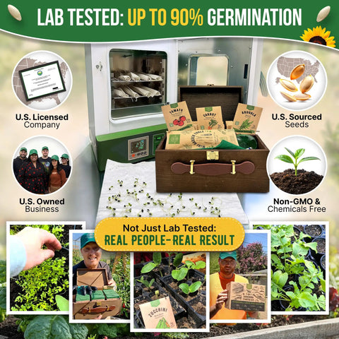 75 Vegetable And Greens Seed Variety Pack With Garden Starter Kit For Indoor And Outdoor Planting Non GMO Heirloom Seeds Over 44,700 Seeds In A Seed Box With Tools, Gloves, And Dispenser A Great Gift For Gardeners