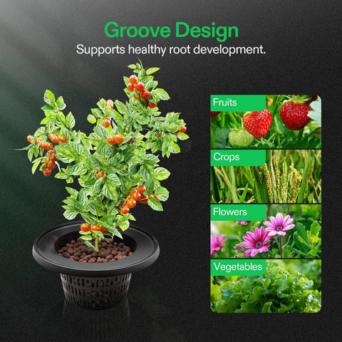 Deep Water Culture Hydroponics System With Top Drip Kit For Four Buckets 5 Gallon DWC Grow Kit plant with growth stages.
