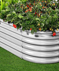 Heavy Duty Galvanized Raised Garden Bed Kit For Veggies, Oval 4 By 2 By 1.5 Feet, with Vegetables and Flowers