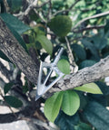 Fixed Blade Hunting Broadhead 100 Grain 420 Stainless Steel Three Razor Sharp Blades Vented Design on tree branch