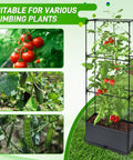 Two Pack Raised Garden Bed Tomato Planter Box With Trellis 43.4 Inch Self Watering Cage for climbing plants and tomatoes