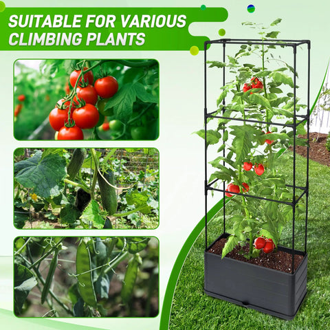 Two Pack Raised Garden Bed Tomato Planter Box With Trellis 43.4 Inch Self Watering Cage for climbing plants and tomatoes