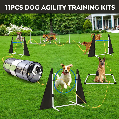 Dogs playing in Backyard Dog Agility Training Course Set For Pets, Easy Setup Obstacle Course With Grey And Black Tunnel, Hurdles.
