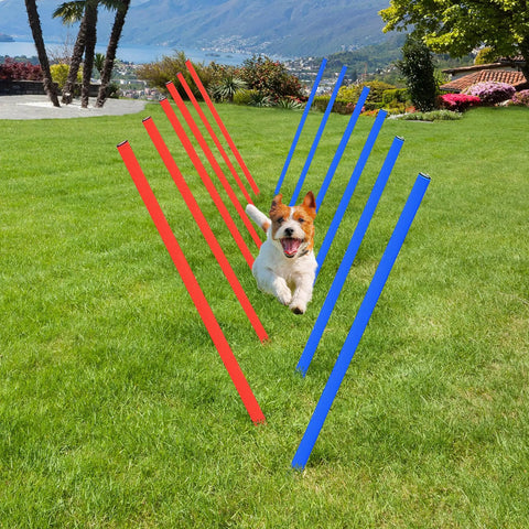 Dog running through All-In-One Dog Agility Training Kit With Adjustable Poles Jump Run Obedience Set in the backyard