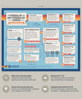 Colorful Civics Poster Pack For Classrooms Ten Infographic Posters On Presidents Founding Documents Supreme Court And Government Tree That Spark Discussion Dope Engagement In Social Studies Education, Federalist Anti-Federalist Papers 20x16 inches