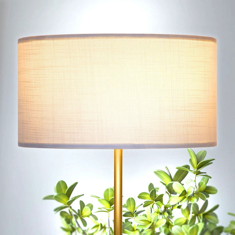 Quinn LED Floor Lamp With Drum Shade Sleek Modern Standing Light for living rooms, brass gold finish with plants in background