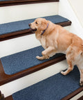 Golden retriever on blue No Slip Stair Treads for Kids and Pets 28x9 Inch Indoor Carpet Runners on wooden steps, 13 pack