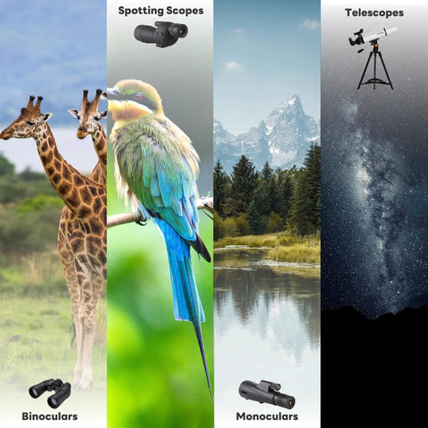 Illustration of spotting scopes, spotting a bird, telescopes with stars, binoculars with giraffes, monoculars with a mountain view