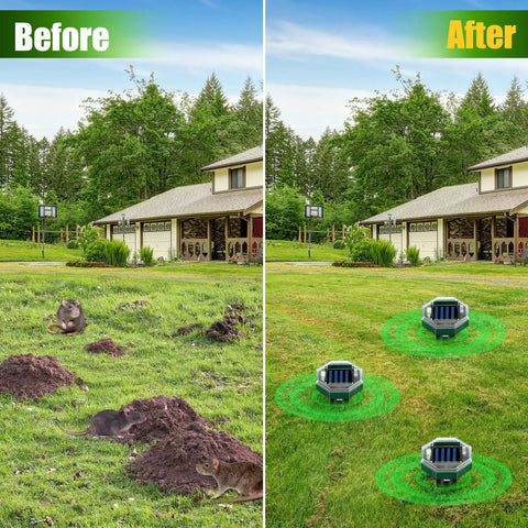 Before and after using Solar Mole Repellent Stakes 8 Pack Ultrasonic Gopher Deterrent For Lawn, Garden, And Farm Outdoor IP65 Waterproof Rodent Control Spike Humane, No Traps, Keeps Moles, Voles, Groundhogs, And Snakes Out Of Your Yard.