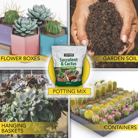Fast Draining Succulent And Cactus Potting Soil Mix With Added Nutrients For Healthy Roots, Ideal For Indoors Or Outdoors, 4 Quarts
