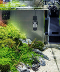 Go-To Betta And Small Fish Tank Heater With Bright Led Digital Screen And Easy Turn Knob For Compact Freshwater Or Marine Bowls Up To Five Gallons submerged in an aquarium with aquatic plants.