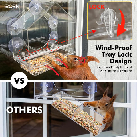 2026 Window Bird Feeder With Windproof Tray Lock, Chewproof PC Build, Strong Suction Cups installed with squirrel