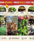 14 Rare Tomato And Tomatillo Garden Seeds Variety Pack With Over 1025 Non GMO Heirloom Seeds For Outdoor And Indoor Home Gardening