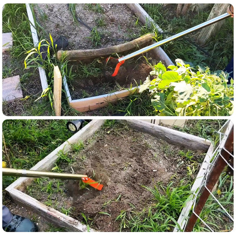 Action shot of 63 Inch Stirrup Hoe Garden Tool With Adjustable Long Handle in raised bed, weeding with 15 Degree Spring Steel Blade