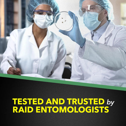 Scientists testing insect samples in lab for House And Garden Insect Killer Spray That Kills Ants Roaches And Spiders Indoor And Outdoor Use Won't Harm Plants 11 Ounce Bottle For Quick Bug Busting At Home And In The Garden.