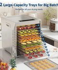 A Heck Of A Food Dehydrator Featuring Twelve Heavy Duty Stainless Steel Trays With Precise Eighty Five To One Seventy Degree Fahrenheit Temp Control For Making Juicy Beef Jerky Garden Veggies And Healthier Snacks showing 12 large trays filled with fruits.