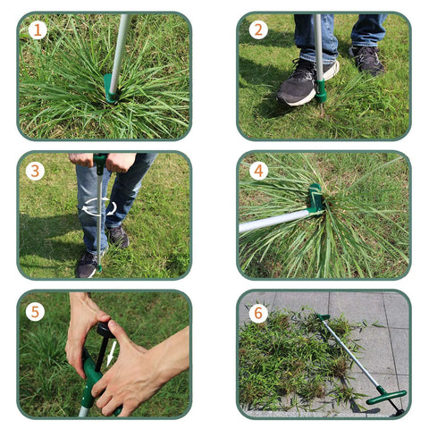 Step-by-step use of Stand Up Weeder And Weed Remover Tool With 39 Inch Handle, 3-Claw Manual Weeder, Stainless Steel Foot Pedal