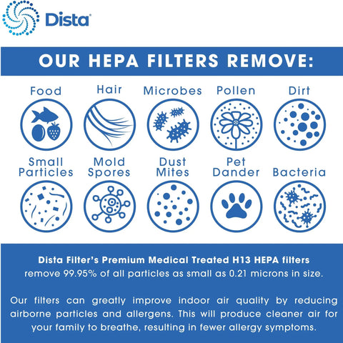 Infographic showcasing what the H13 True HEPA Replacement Filter 4 In 1 2 Pack For SilverOnyx 5 Speed Air Purifier removes, including allergens.