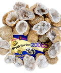 Break Your Own Moroccan Geodes With Crystals Inside A Hands On Fun Science Kit For Kids Includes 25 Medium 1 To 1.5 Inch Geodes