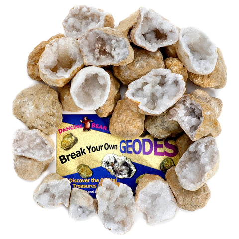 Break Your Own Moroccan Geodes With Crystals Inside A Hands On Fun Science Kit For Kids Includes 25 Medium 1 To 1.5 Inch Geodes