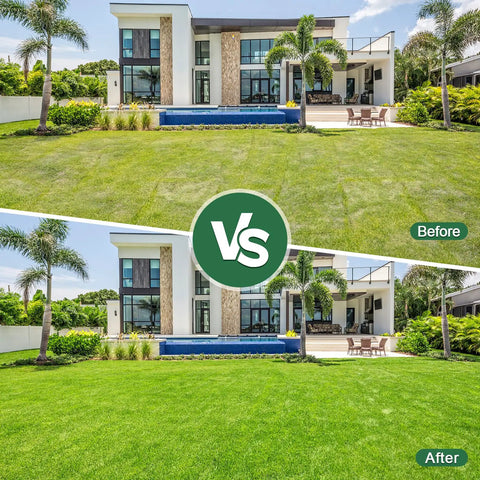 Before and after image of a lawn using Heavy Duty Lawn Aerator Shoes With Stainless Steel Shovel For Easy Yard Work And Lawn Soil Aeration Universal Size With Secure Buckle Straps Easy On And Off And Included Shovel For Quick Cleanup On Lawns Gardens Patios And Yards Black, showing improved grass health.